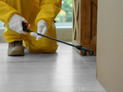 About Bed Bug Heat Treatment North Hudson - bed bug heat treatment experts in North Hudson