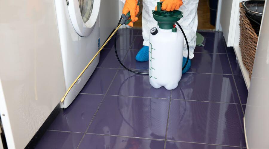 Why choose Bed Bug Heat Treatment North Hudson for bed bug heat treatment in North Hudson